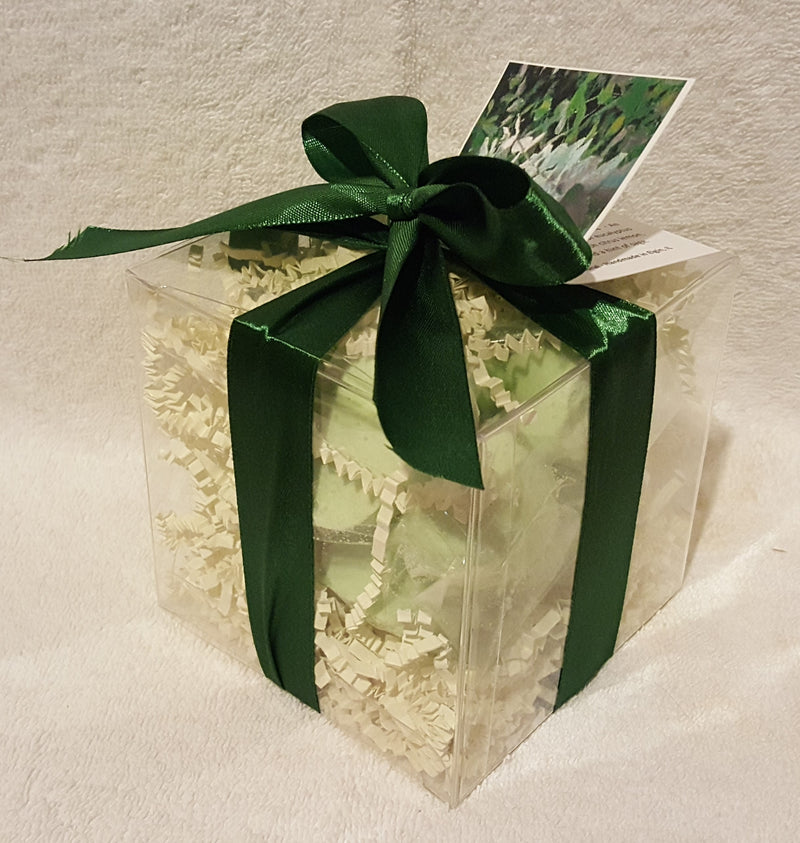 Eucalyptus & Spearmint 14-pack Bath Bomb Gift Set