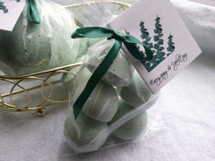 14 bath bombs Eucalyptus & Spearmint Essential Oils gift bag bath fizzies, especially good for colds and flus